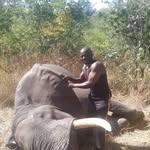 Dan Dube - @dandenzeldube_ - Instagram