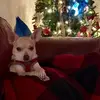 danielledubuque0 - @danielledubuque0 - TikTok