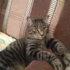 Jermaine Jakubowski - @dante_dubuque28 - TikTok