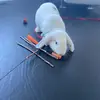 Danielle Ducharme - @danielleducharme8 - TikTok