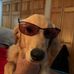 Dan Duff - Facebook