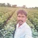 dandu girani - @dandugirani - Instagram