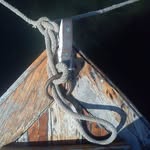 Dugi Dan - @dan.dugi - Instagram