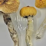 Dan Duguay - @natures_reset3030 - Instagram
