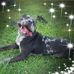 Dann Duhon - Facebook