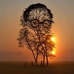 dandulaxmaial@ - @dandulaxmaial - Instagram