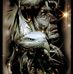 Dan Dulac - Facebook