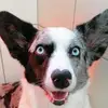 Karine Du Lac dAndoria - @karinedulacdandor - TikTok