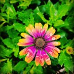 Danny Dulyea - @dulyeadanny - Instagram