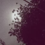 Maryam Ahmad Dandume - @maryam_____dandume - Instagram