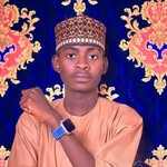Ümãr Ãlî Dãndümê - @umar_alee_dandume - Instagram