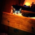 Daniel Dunmire - @sqankey - Instagram