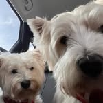 Danny Dunmore - @r_u_danny_d_ - Instagram