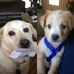 Dan Dupler - Facebook