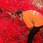 Nợn Nhỏ - @dan.durex.39 - Instagram