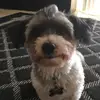 duriandan - @duriandan - TikTok