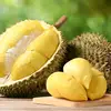 Mulut bau longkang dan durian - @broken.terus1 - TikTok