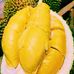 Ra Upin Dan Ipin Desa Kampung Durian Runtuh - Facebook