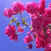 dustin_dan_w2_2608 - @dustin_dan_w2_2608 - TikTok