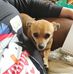 Dann Duzan - Facebook