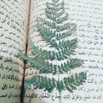 DanDybala_033 - @dandybala033 - Instagram