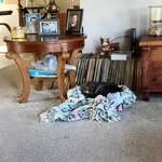 Bruce Taylor - @dandycell6426 - Instagram