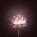 dand - @dandyck_ - Instagram