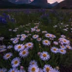 Dan Dycus - Facebook