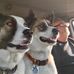 Dan Dykema - Facebook