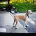 Dan Dykman - Facebook
