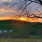 Dan Eagan - @dan.eagan.31 - Instagram