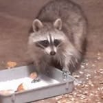 Dan Lee Egan - @dan.eagan - Instagram