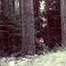 Dan Earley - Facebook