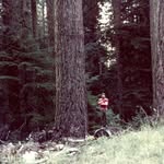 Dan Earley - @dan.earley.71 - Instagram