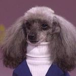 Dan East - @dan_east - Instagram