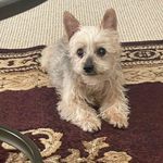 Dan Eberly - @dan.eberly - Instagram