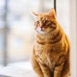 @dane.ddie - Instagram