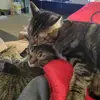 daNEDENhunter - @danedenhunter - TikTok