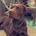 Dan Edgar - Facebook