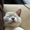 danedgar - @danedgar - TikTok
