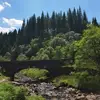 Dan Edmonds - @dan.edmonds - TikTok