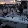 Dan Eek - @dan.eek - TikTok