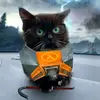 daneek - @daneek421 - TikTok