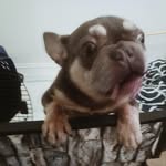 @danegerous1 - Instagram