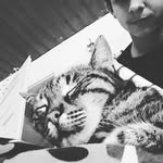 Danegger Manuel - @daneggermanuel - Instagram
