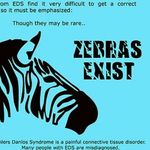 @ehlers_danlos_awareness_ - Instagram
