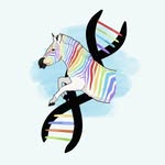 Ehlers Danlos Hispanoamérica - @ehlersdanlos.hispam - Instagram