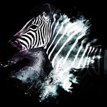 @ehlers_danlos_uk - @ehlers_danlos_uk - Instagram