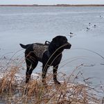 Dan Ehler - @ehlerdan - Instagram