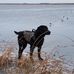 Dan Ehler - Facebook